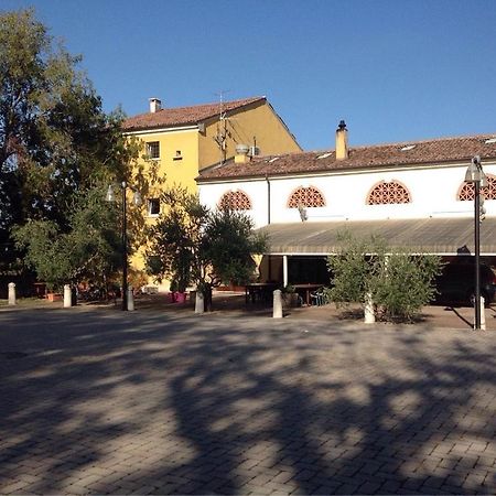 Agriturismo La Rasdora Porto Mantovano Dış mekan fotoğraf